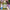 collections/davines-momo-shampoo-1.jpg