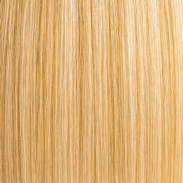Golden vanilla blonde extension with warm highlights, rich tone 10 and 9.